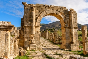 Djamila Roman Arch Picture