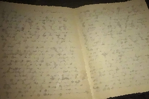 Pages from Anne Frank's diary.