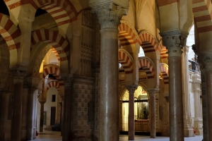 Mesquita-Cathedral Picture