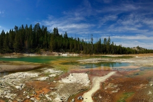 Yellowstone National Park Landscape