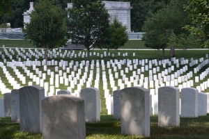 The Arlington Cemetery Picture