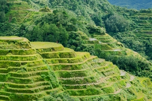 Batad Rice Terraces Picture