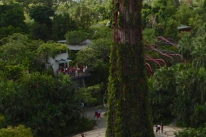 Singapore garden