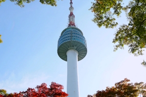 N Seoul Tower Pictures