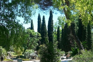 Jardin des Plante de Montpellier Picture