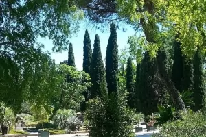 Jardin des Plante de Montpellier thumbnail