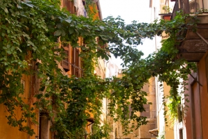 Trastevere Alley Picture