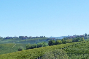 Piemont Landscape