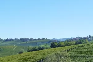 Langhe, breathtaking landscapes, picturesque hamlets and excellent Italian gastronomy