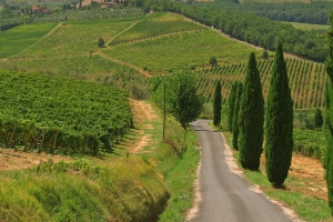 Chianti Wine Route
