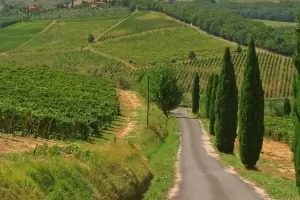 Chianti Wine Route thumbnail
