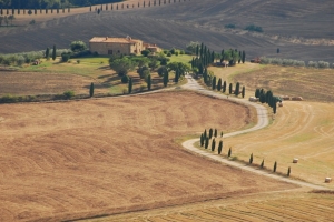 Tuscany Land