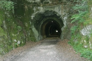 Old train tunnel Picture