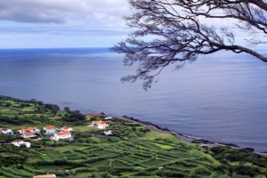 Faial Island North Coast Pictures