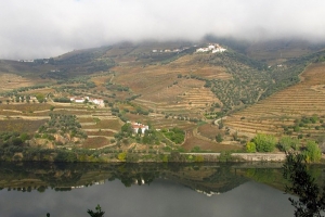 Douro Valley Picture