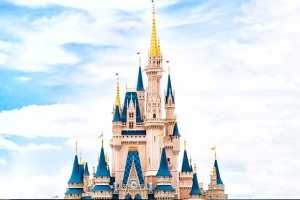 Disney World Picture