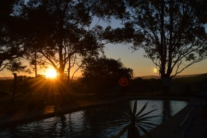 Hunter Valley Sunset Pictures