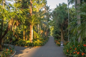 Royal Botanic Gardens Picture