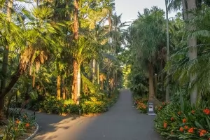 Royal Botanic Gardens thumbnail