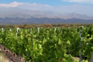 Mendoza Wine Region & Cellars thumbnail